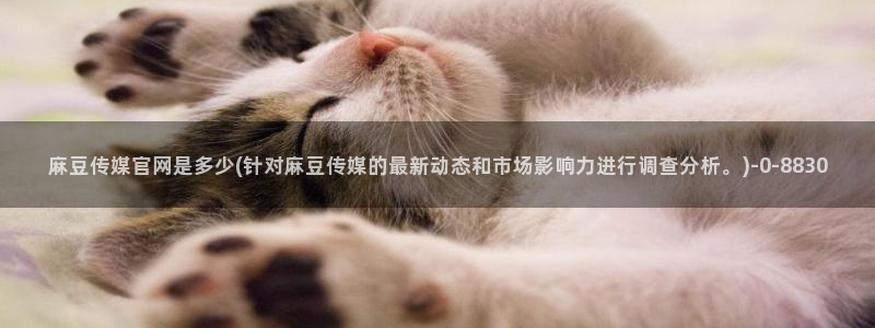 麻豆传媒官网model：麻豆传媒官网是多少(针对麻豆传媒的最新动态和市场影响力进行调查分析。)