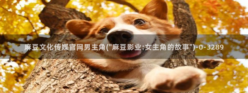 麻豆影视传媒文化官网：麻豆文化传媒官网男主角(\