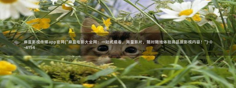 麻豆文化传媒 官网：麻豆影视传媒app官网(\