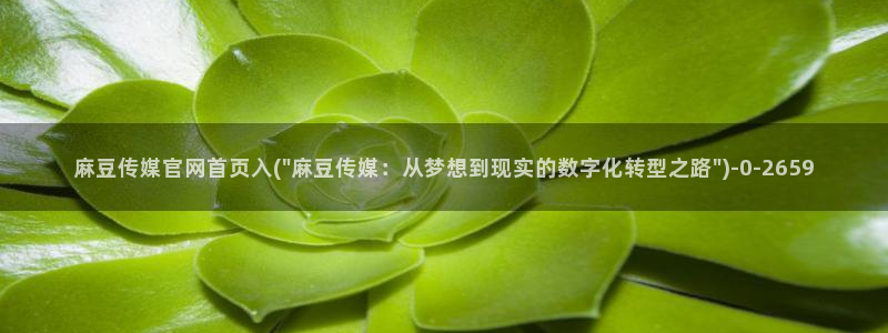麻豆传媒app官网黄：麻豆传媒官网首页入(\