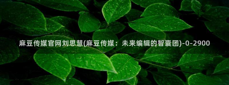 麻豆传媒直播官网01：麻豆传媒官网刘思慧(麻豆传媒：未来编辑的智囊团)