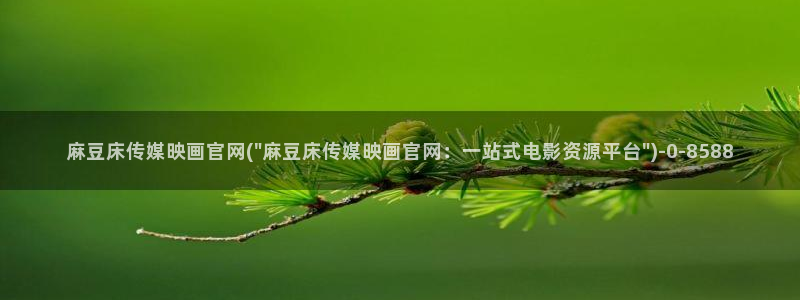 麻豆文化传媒官网免费：麻豆床传媒映画官网(\