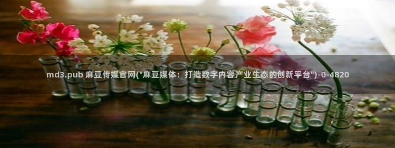 91麻豆传媒app官网：md3.pub 麻豆传媒官网(\