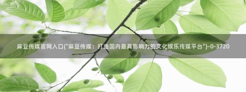 麻豆传媒av官网：麻豆传媒官网入口(\