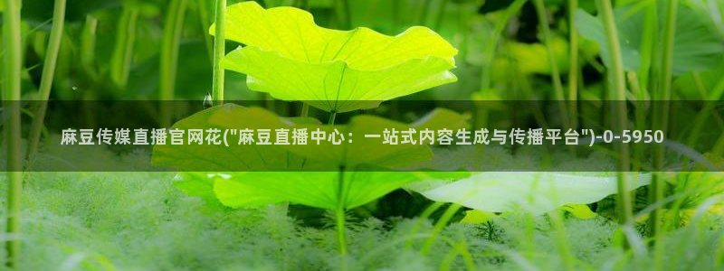 麻豆传媒映画传媒官网