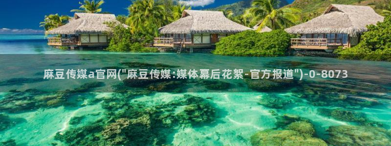 麻豆传媒印话官网：麻豆传媒a官网(\