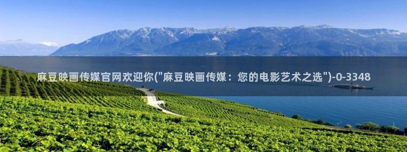 麻豆传媒官网软件
