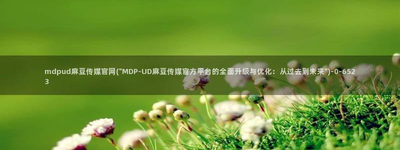 麻豆传媒官网女主播