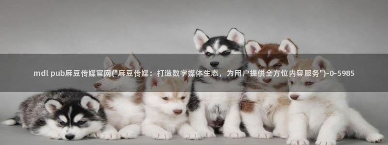 91麻豆传媒官网是