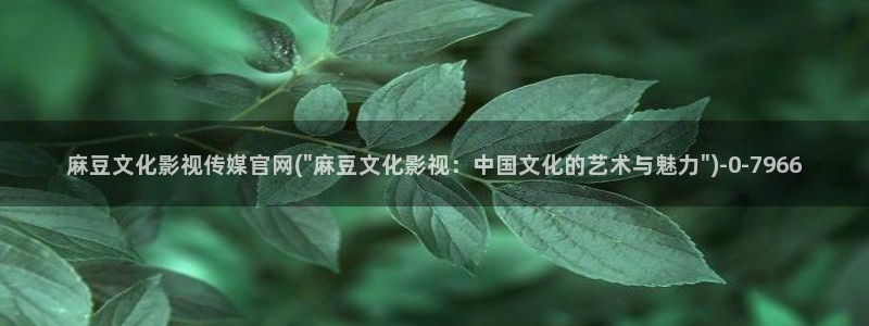 9 1麻豆传媒官网