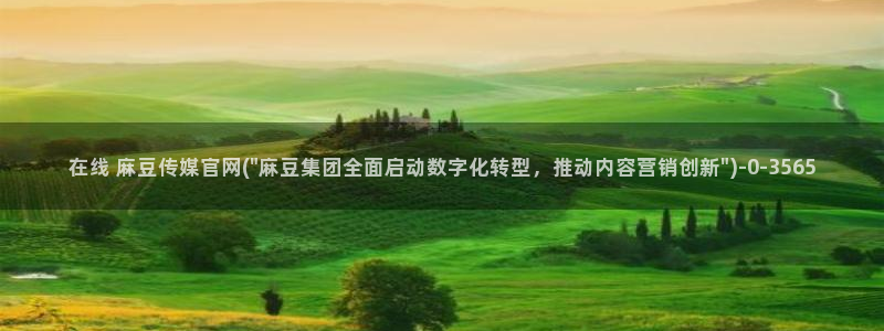 麻豆视传媒官网进入：在线 麻豆传媒官网(\