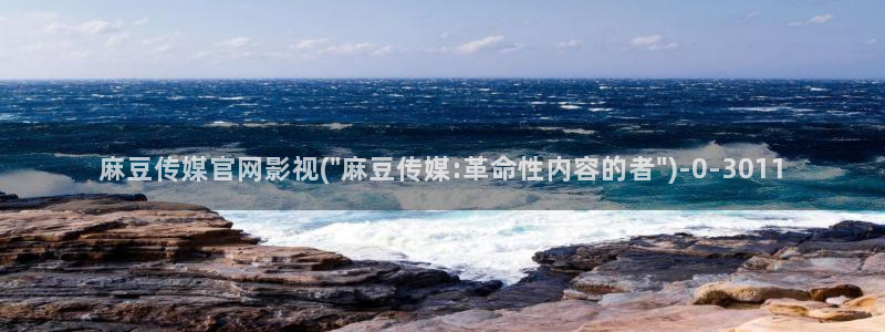 麻豆文化传媒 官网