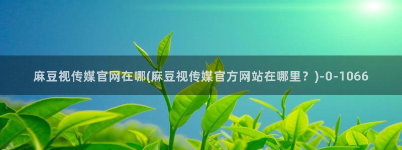 麻豆传媒原创官网
