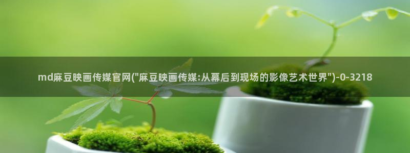 麻豆啊传媒app官网