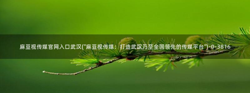 麻豆传媒微博官网：麻豆视传媒官网入口武汉(\
