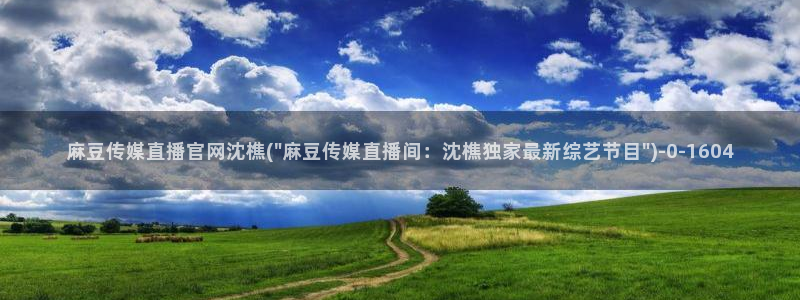 麻豆传媒映视官网